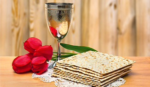 Cosher and joyful Passover!
