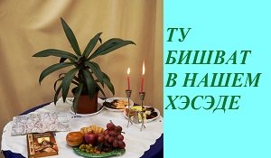 В киевском хэсэде праздновали Новый год деревьев