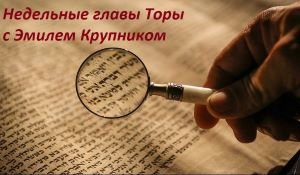 Weekly Torah Chapters with Emil Krupnik